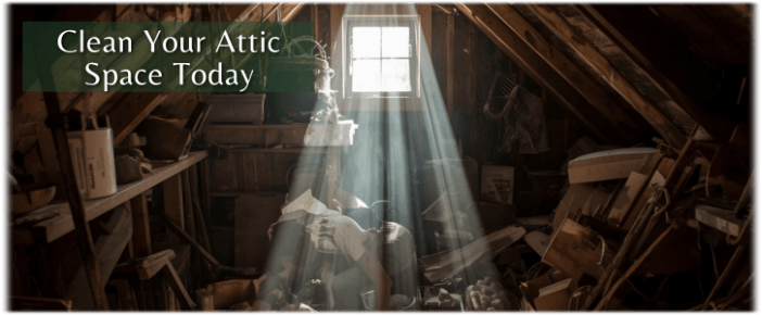 Attic Cleaning Kensington